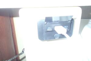 Picture of Wanderin' Star