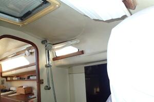 Picture of Wanderin' Star