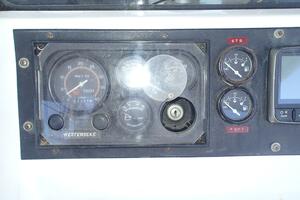 Picture of Wanderin' Star