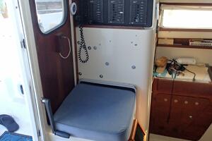 Picture of Wanderin' Star