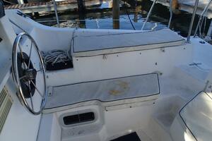 Picture of Wanderin' Star