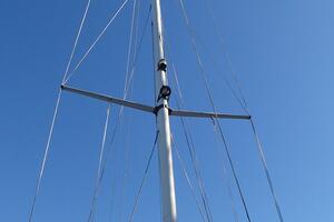 Picture of Wanderin' Star