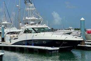 2010 Sea Ray 450 Sundancer thumbnail 1