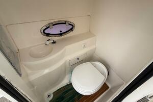 Photo 5971392 for 2019 NauticStar 243 DC  0005594022