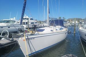 Ultimo 44ft Catalina Yacht For Sale