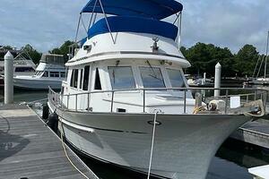 Great Scott 37ft Hershine Yacht For Sale