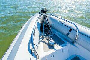 2002 Protector 410 Targa thumbnail 21
