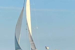 2000 Beneteau 361 thumbnail 1