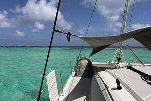2020 Outremer 51 thumbnail 188
