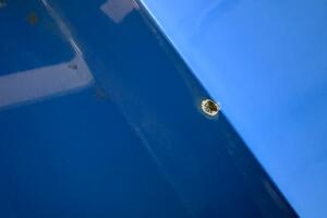 21ft Correct Craft Yacht For Sale