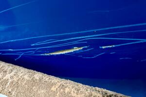 21ft Correct Craft Yacht For Sale