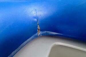 21ft Correct Craft Yacht For Sale