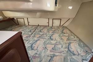 Neon Leon 30ft Hunter Yacht For Sale