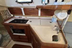 Neon Leon 30ft Hunter Yacht For Sale