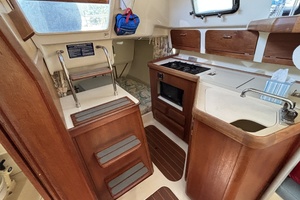 Neon Leon 30ft Hunter Yacht For Sale
