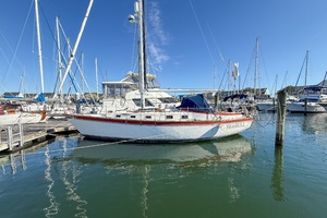 Picture of SEAGULL