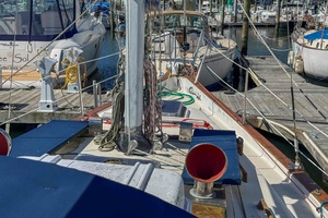 Picture of SEAGULL
