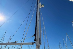 Picture of SEAGULL