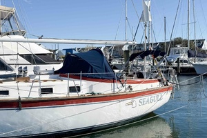 Picture of SEAGULL