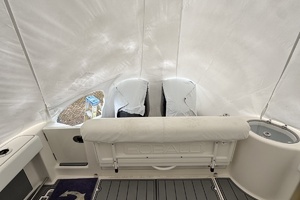 2018 Robalo 305 thumbnail 4