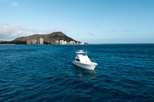 50ft Commercial Yacht For Sale