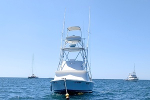 1973 Bertram Sportfisher thumbnail 6