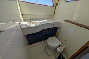 Bachata 31ft Bertram Yacht For Sale