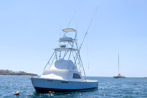 Bachata 31ft Bertram Yacht For Sale