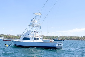 Bachata 31ft Bertram Yacht For Sale