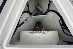 ODYSSEY 40ft Tartan Yacht For Sale