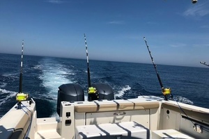 Photo 6023467 for 2017 Sailfish   