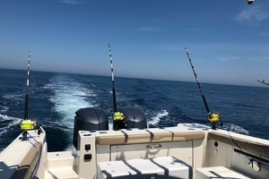 2017 Sailfish thumbnail 2