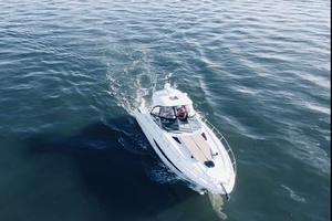 2017 Sea Ray Sundancer 370 thumbnail 3