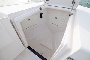 2011 Intrepid 370 Open thumbnail 16