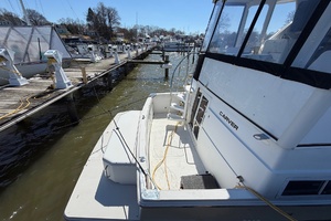 Noah Genda 40ft Carver Yacht For Sale