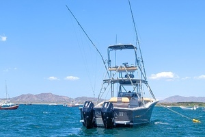 1995 Ocean Master 34 thumbnail 9