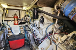 Pair of Jacks 43ft Bertram Yacht For Sale