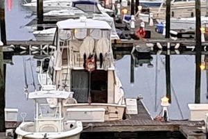 1987 Luhrs Convertible thumbnail 4