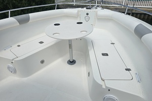 Photo 6031827 for 2008 Century 2901 CC  