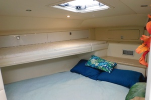 Top Dog 46ft Sea Ray Yacht For Sale