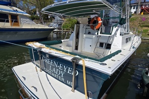 Green Eyed Lady 34ft Albin Yacht For Sale