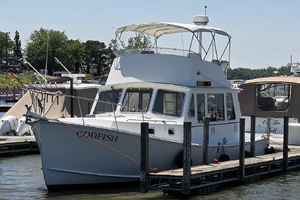Codfish 36ft Northern Bay Yacht For Sale
