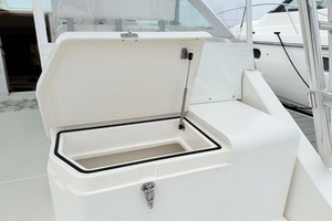 SCREAMIN  EAGLE 35ft Cabo Yacht For Sale