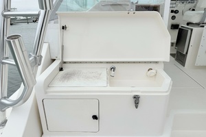 SCREAMIN  EAGLE 35ft Cabo Yacht For Sale