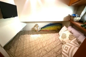 Four Reel 42ft Silverton Yacht For Sale