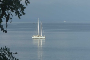 50ft Custom Yacht For Sale