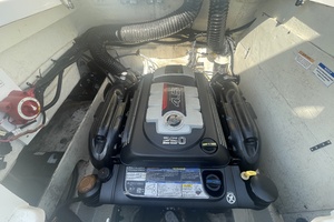 Photo 6062754 for 2019 Bayliner VR6 Bowrider I/O  