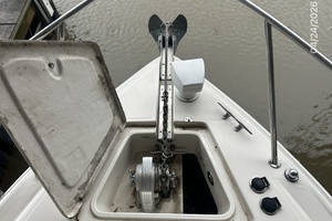 All Summer Long 32ft Regal Yacht For Sale
