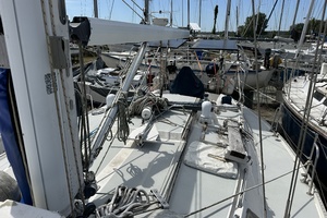 SEA DRAGON 42ft Catalina Yacht For Sale