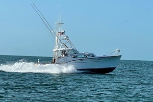 CHINO 36ft Rybovich Yacht For Sale